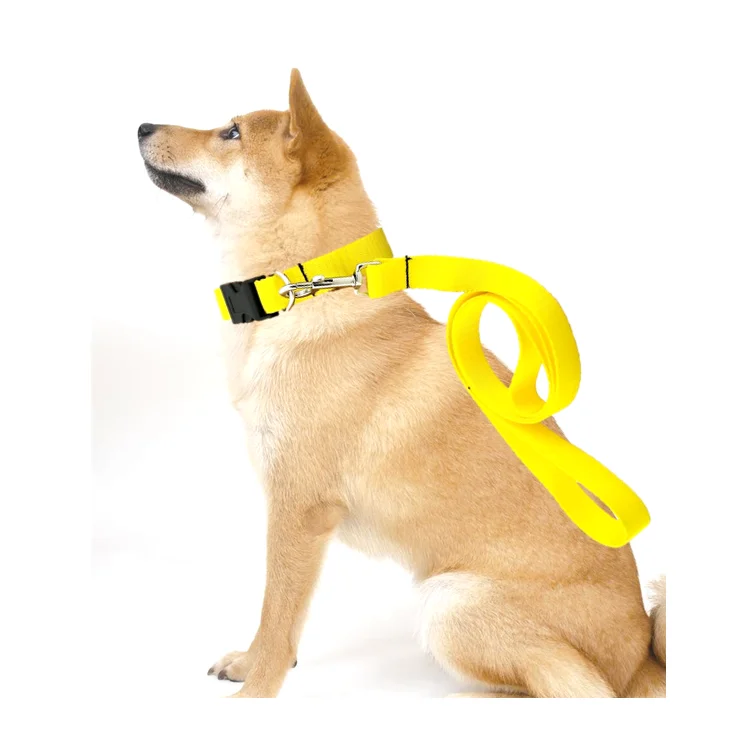 
hot sale pet collars wholesale custom dog harness 