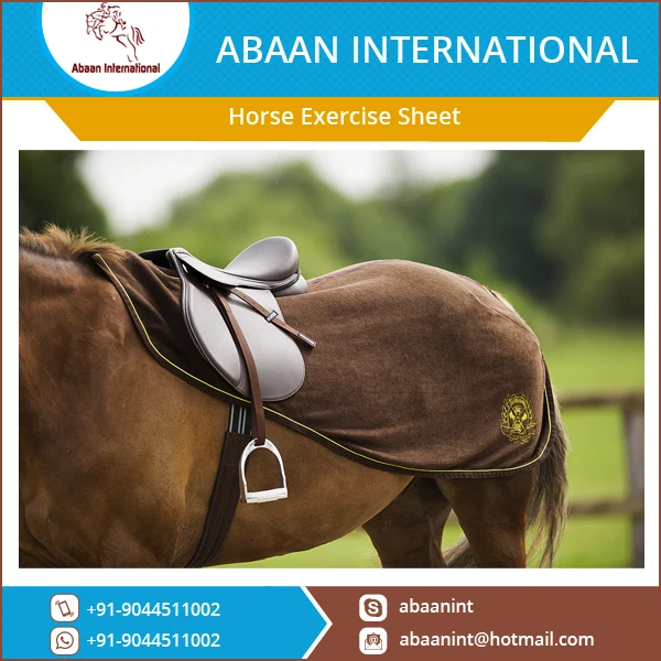 Best Selling Horse Exercise Sheet at Reasonable Rate