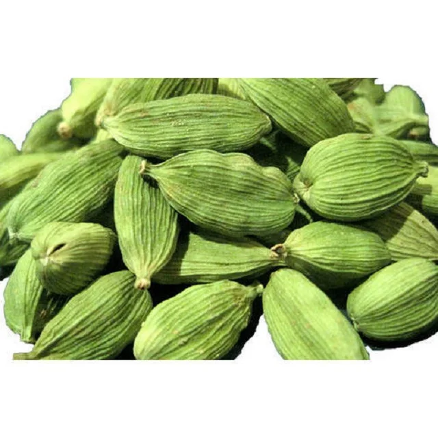 Cardamom Essential oil manufacturer supply - 100% pure cardamom oil with bulk price