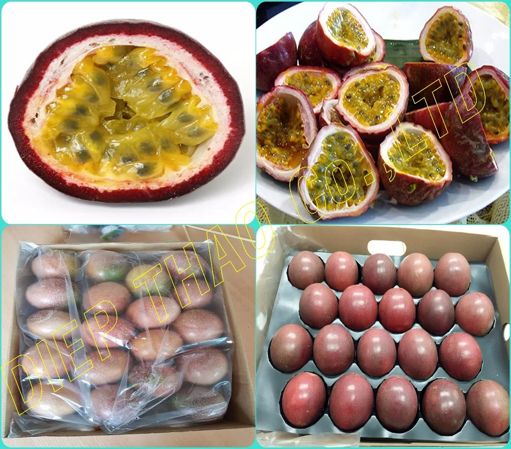 FRESH PASSION FRUITS/ SUPPLY FRESH PASSION FRUITS