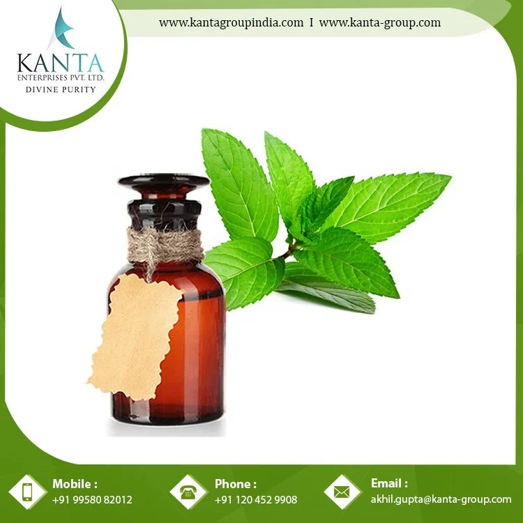Bulk Supply  Peppermint Essential Oil Used for Pain Relief and skin Care Available at Low Price from Indian Exporter