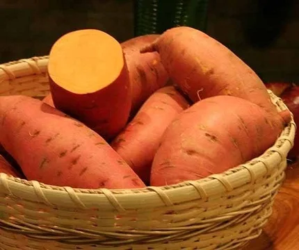 Fresh Bulky Sweet Potato for Sale