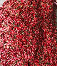 Wholesale Hot Pepper Frozen Red Chilli