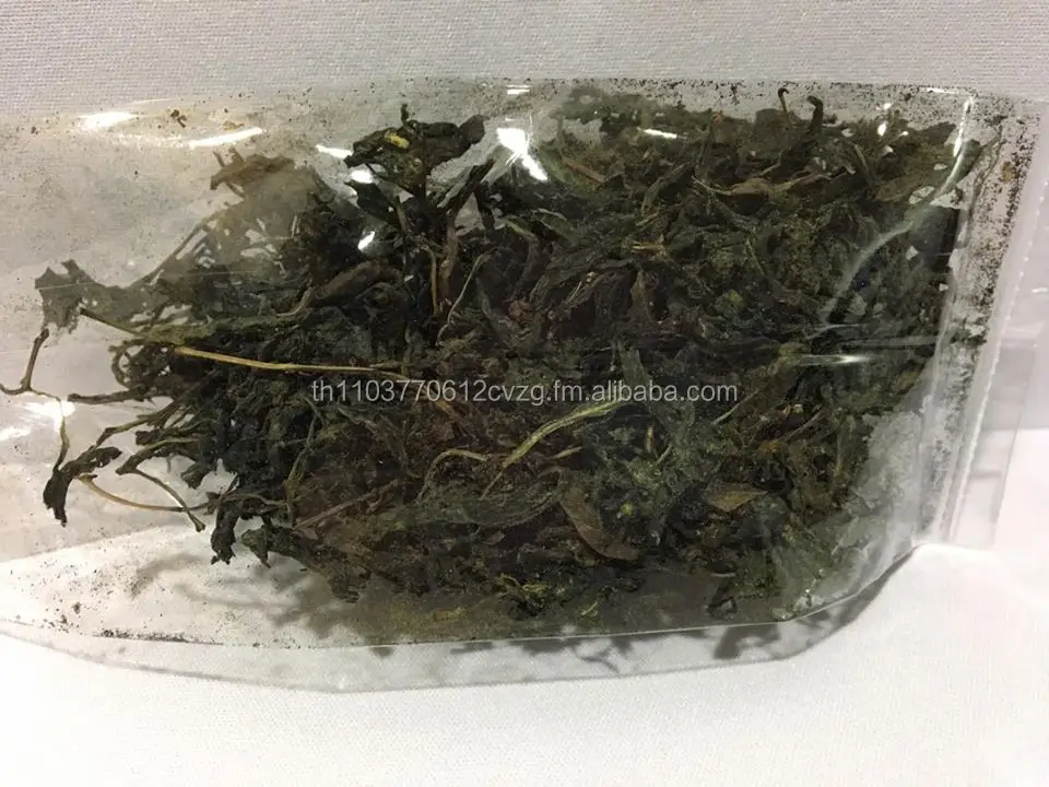 Dried Holy Basil / OEM / 100% Natural Best Quality / Product of Thailand / No Pesticide / Food Grade / Herbal