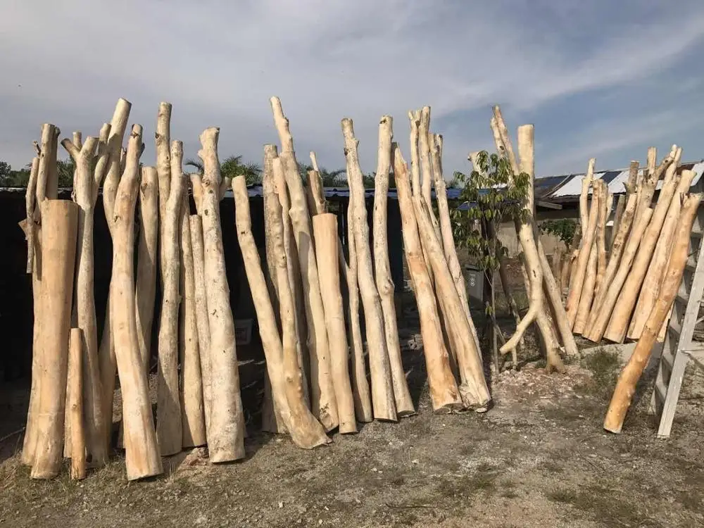 
Skin Removed High Quality Pure Agar_wood Wood Logs Malaysia Made 