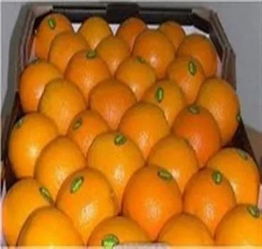 Хороший и лучший египетский оранжевый свежий Класс