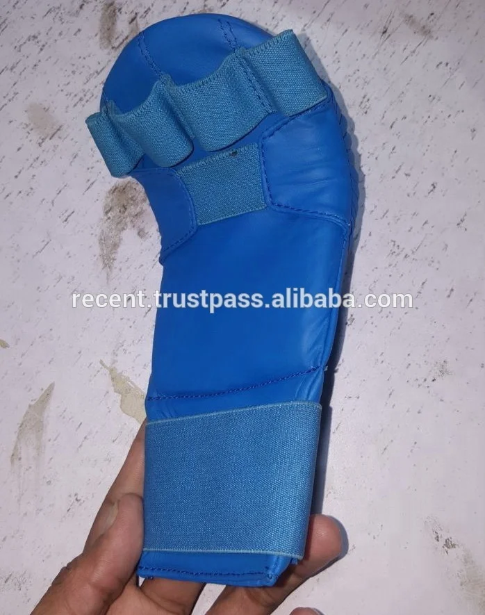 Karate Mitts Karate mitten Karate Do Sparring