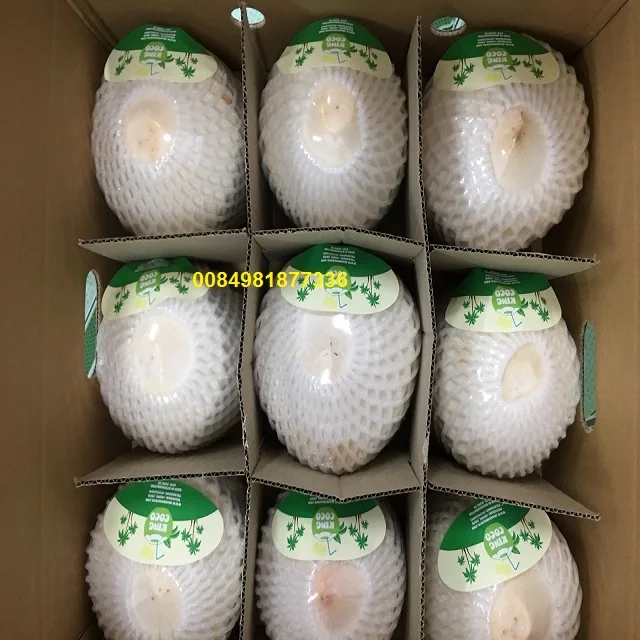 green young coconut for sale