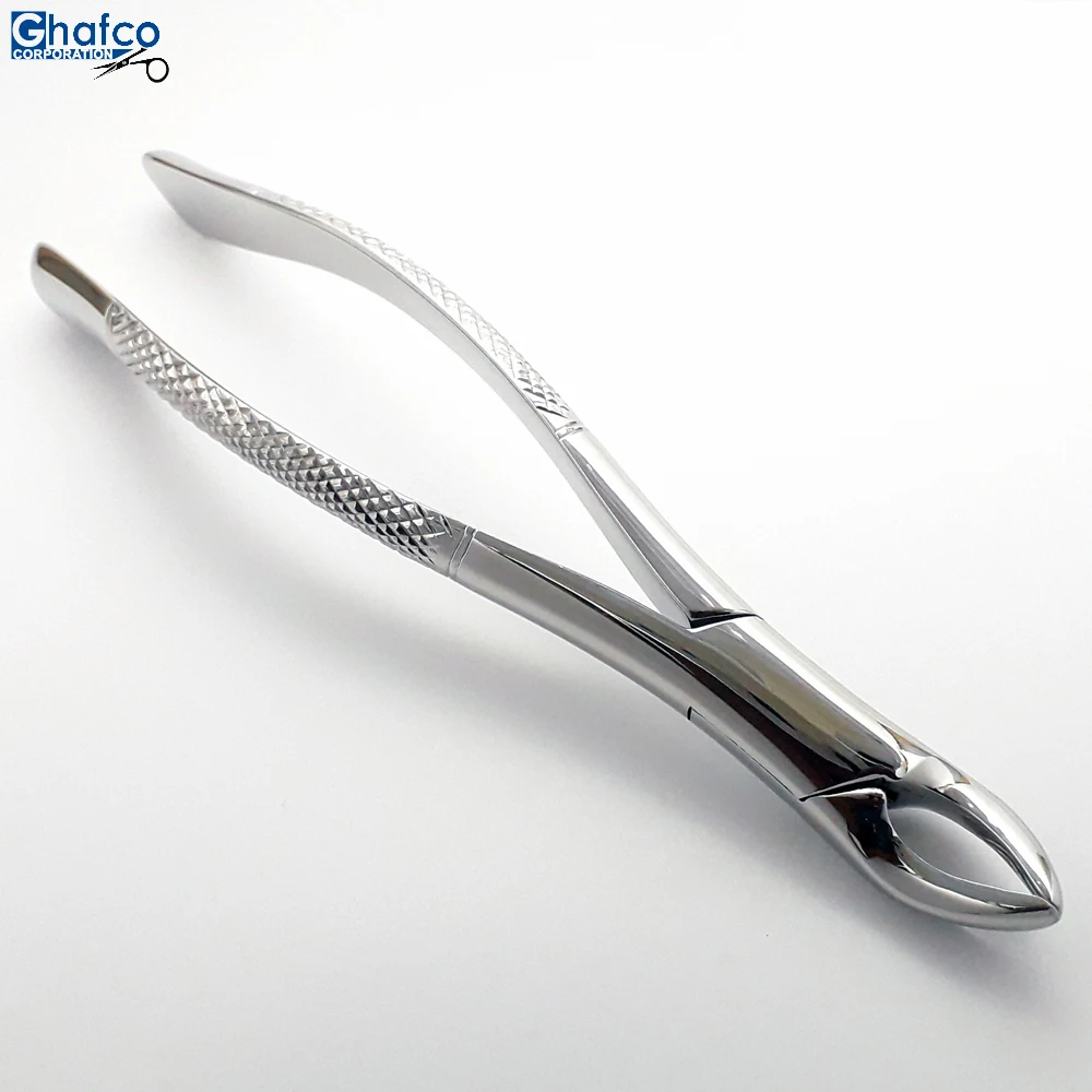 
Universal Dental Extraction Forceps 