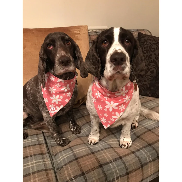 Dog Bandana Red Colorful Printed Cotton Dogs Bandanas Christmas bandana for dog for Pets Manufacturer wholesaler Best Price