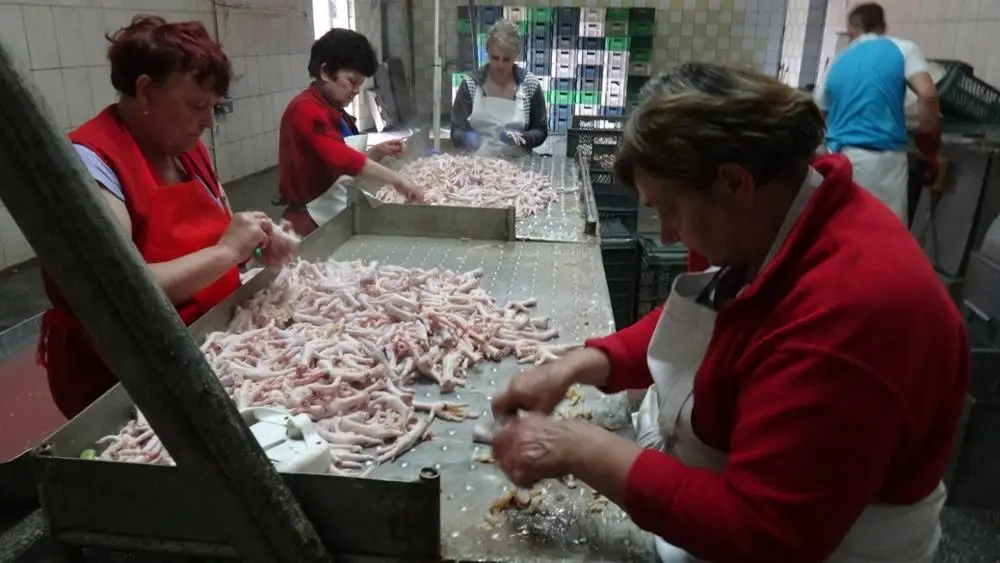 
Frozen Halal Chicken Leg quarters, (Grade A). 