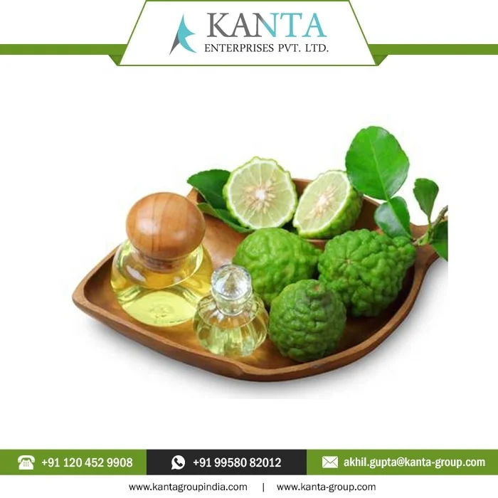 OEM Supply 100% Natural and Organic Aromatherapy Grade Bergamot Essential Oil Used for Skin Care at Factory Price