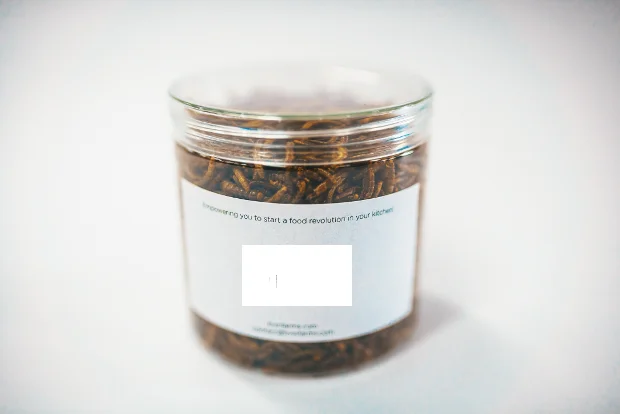 
Edible Mealworms Microwave Dried Mealworm 