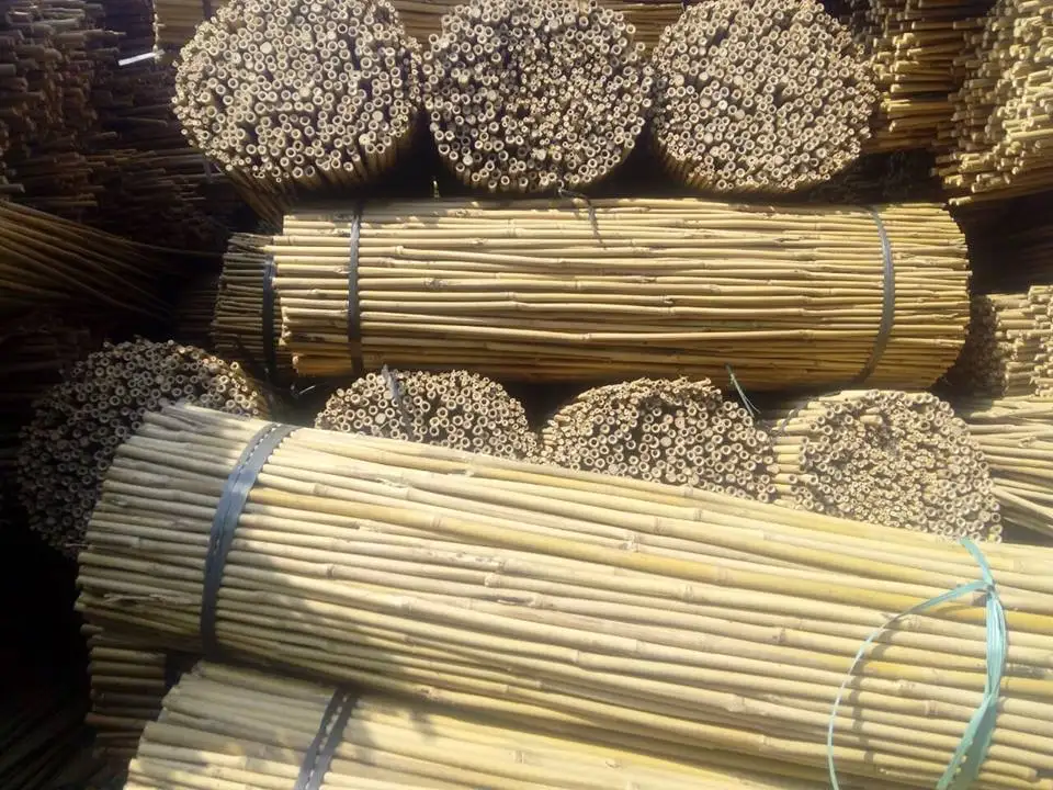 
bamboo stick stake for flower nursery plant support 