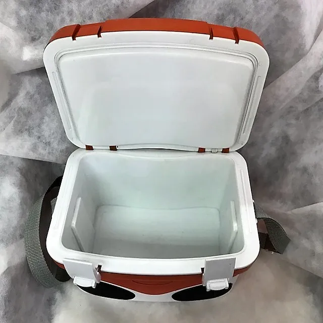 Ice cooler box radio
