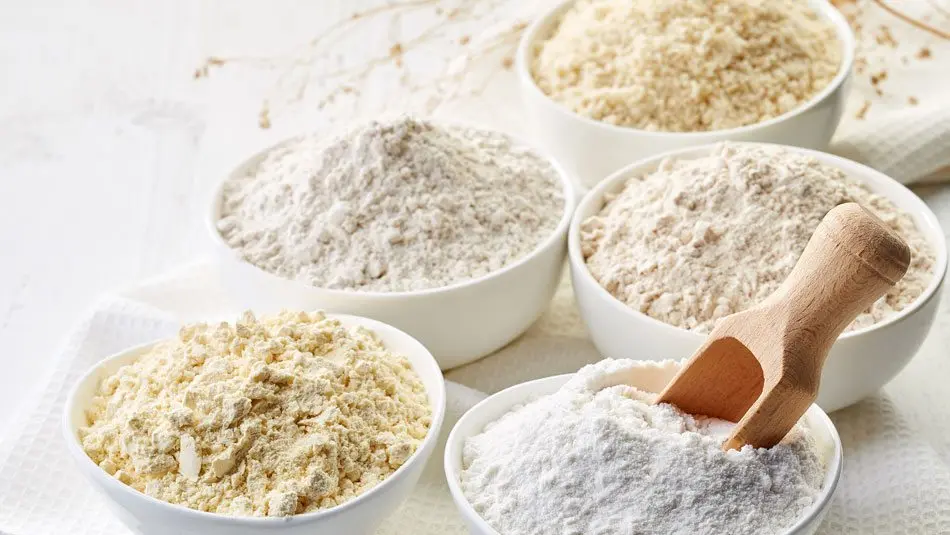 ALL PURPOSE WHEAT FLOUR USA ORIGIN and the best discounted prices