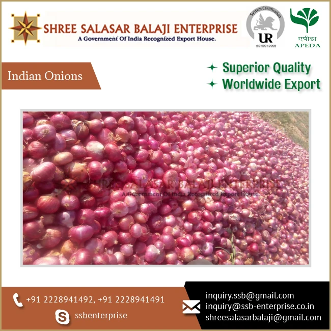 Premium Quality Bulk Selling Export Fresh Red Indian