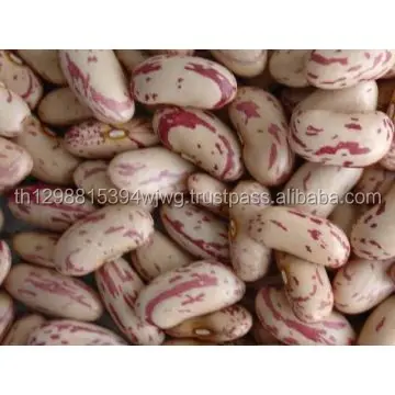 GOOD Kabuli Chick Peas/Desi Chick Peas
