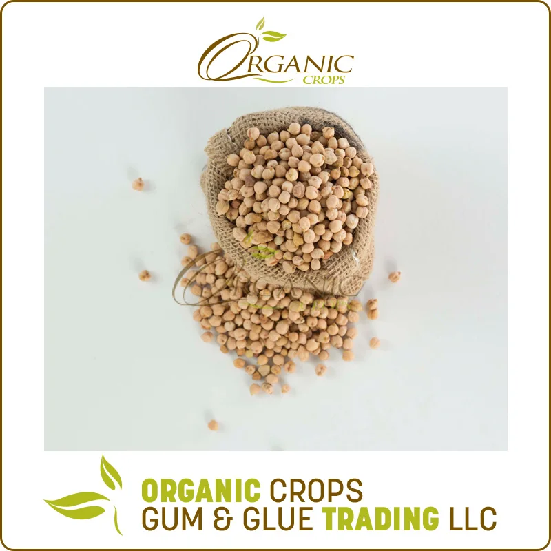 
Quality Chickpea/Chick Pea Market Price 