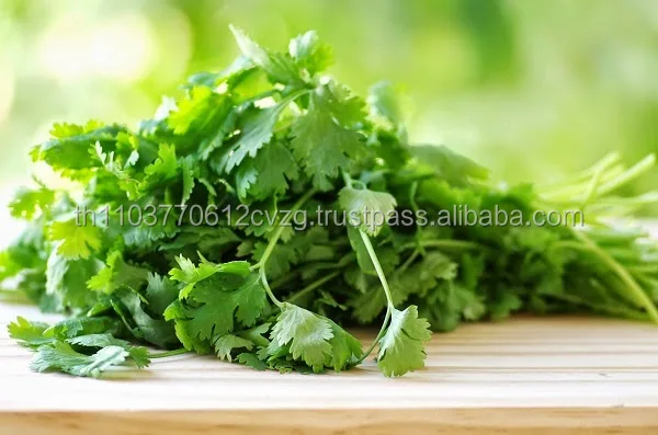  Сушеный тайский Кориандр (петрушка) 100% натуральный продукт из