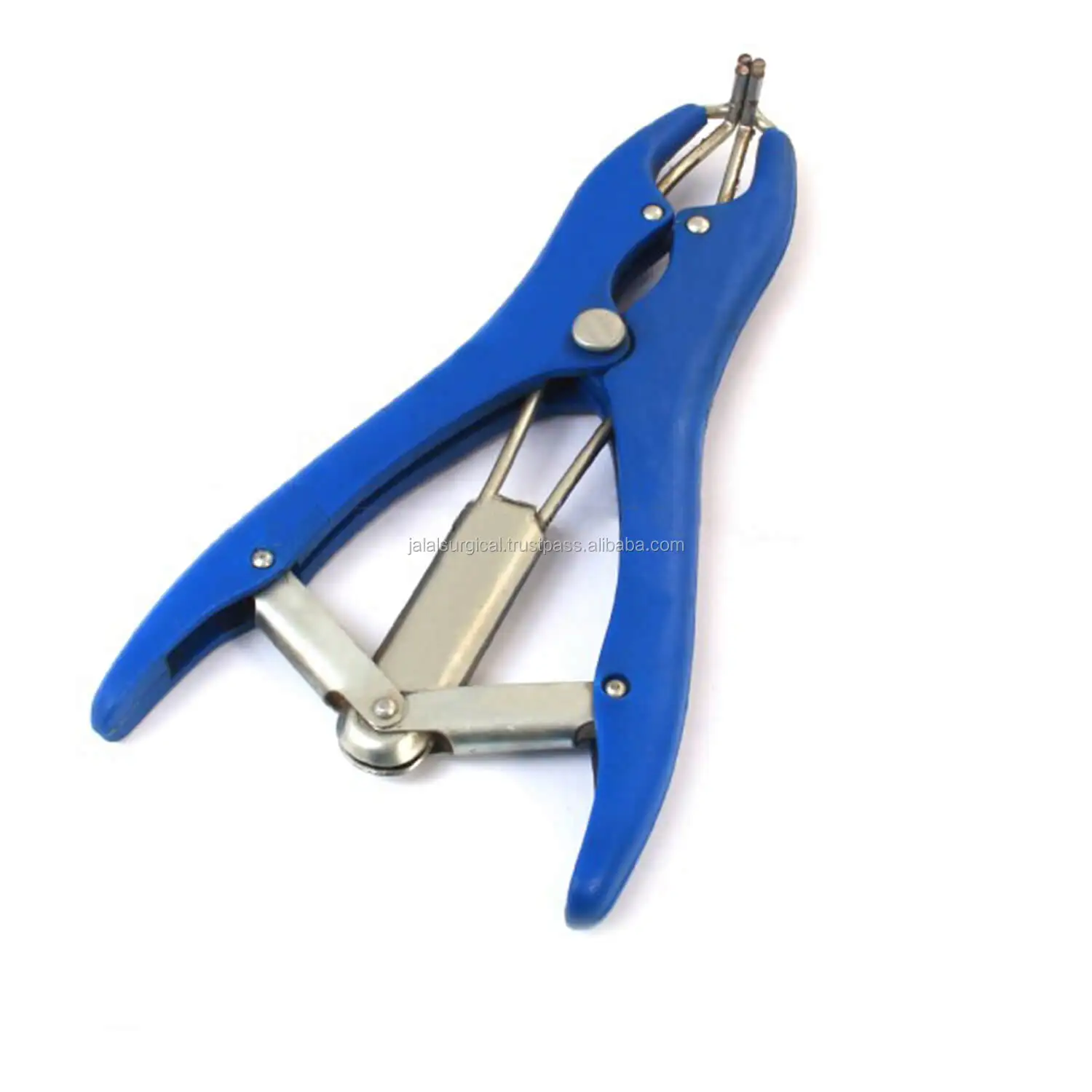 Sheep Tail Docking Banding Elastrator Tool Veterinary Instruments