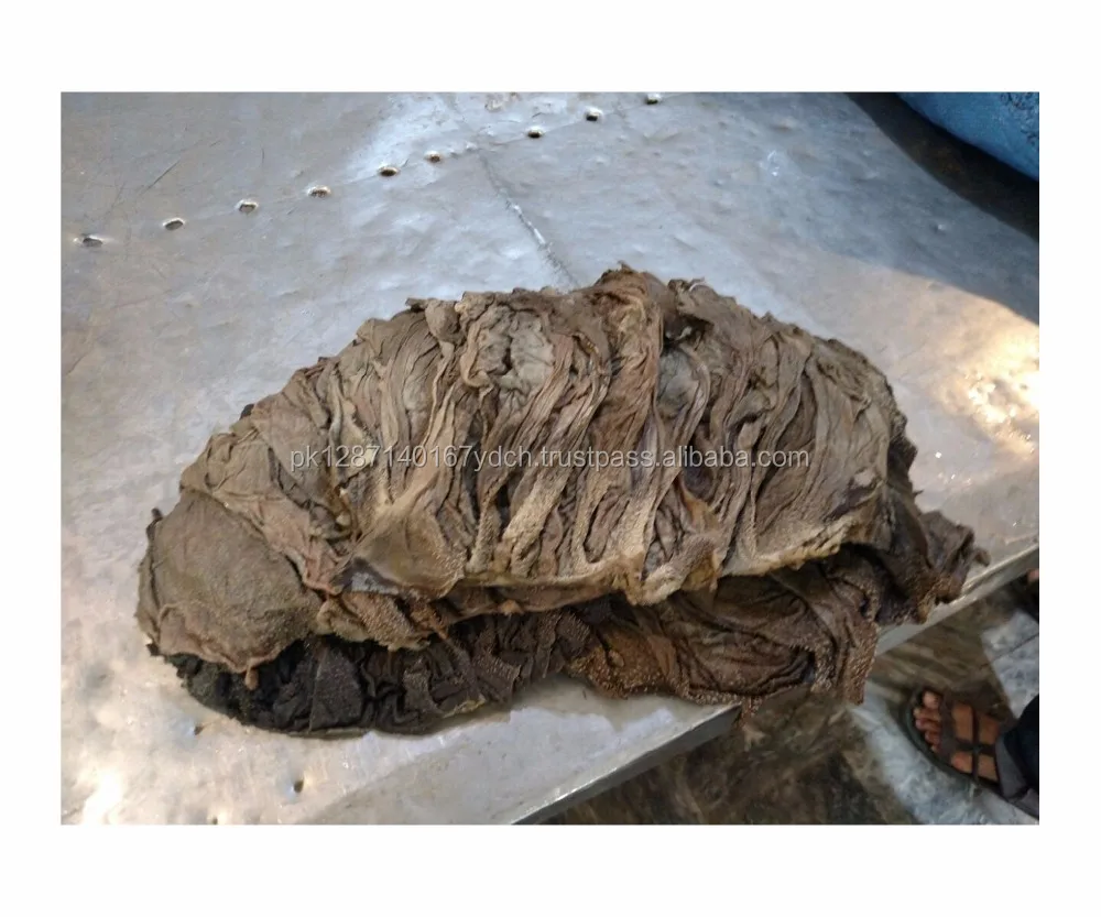 
Salted Dried Omasum - Omasum Buffalo Dried Salted - A Grade Salted Buffalo Beef Omasum 