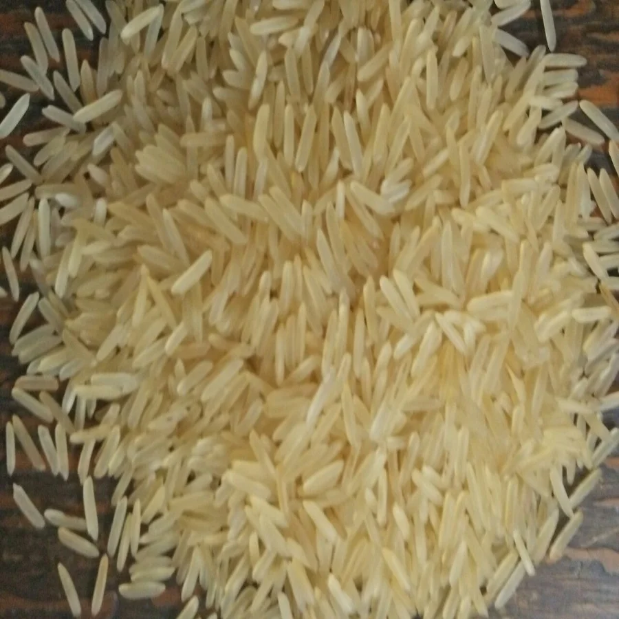 world best rice exports prices from India long grain parboiled white sella raw rice broken 5% 25% 100%
