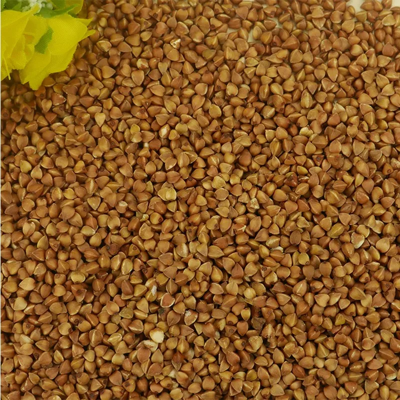 Buckwheat extract organic tartary buckwheat seed extract