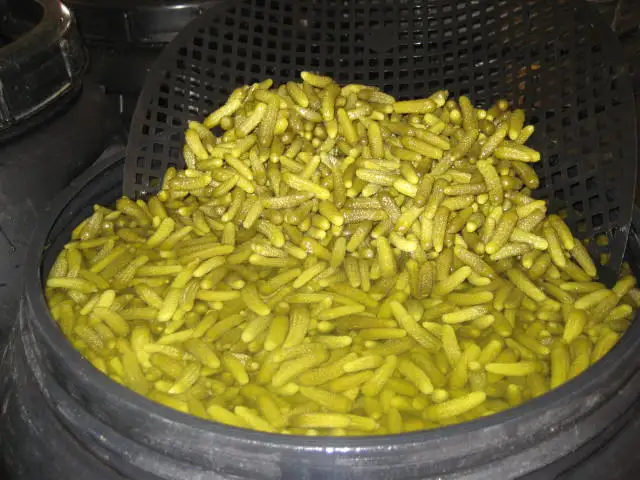 
GHERKINS / CORNICHONS IN ACETIC ACID 