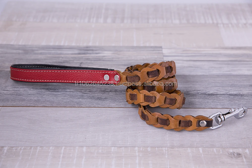 
Soft Touch Collars Padded Leather Dog Collar Leash 