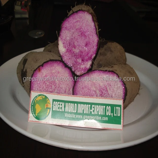 PURPLE YAM - HIGH QUALITY - CHEAPEST PRICE