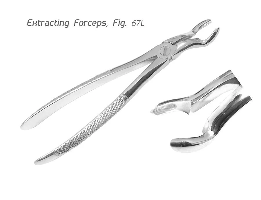 Professional Medical  Dental Extraction Forceps Stainless Steel Dental Pliers Tooth Extracting Forceps