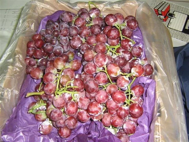 Hot Sale Fresh RED GLOBE Grapes