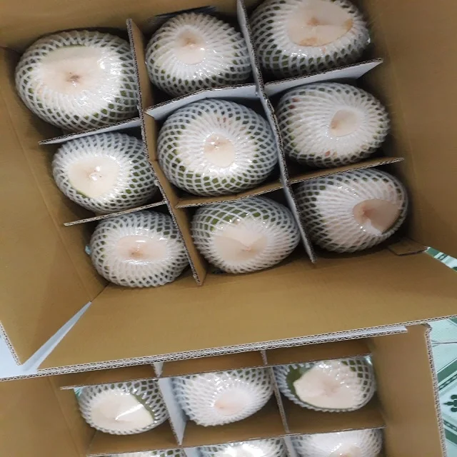 Дешевые свежие кокосы для всех рынков