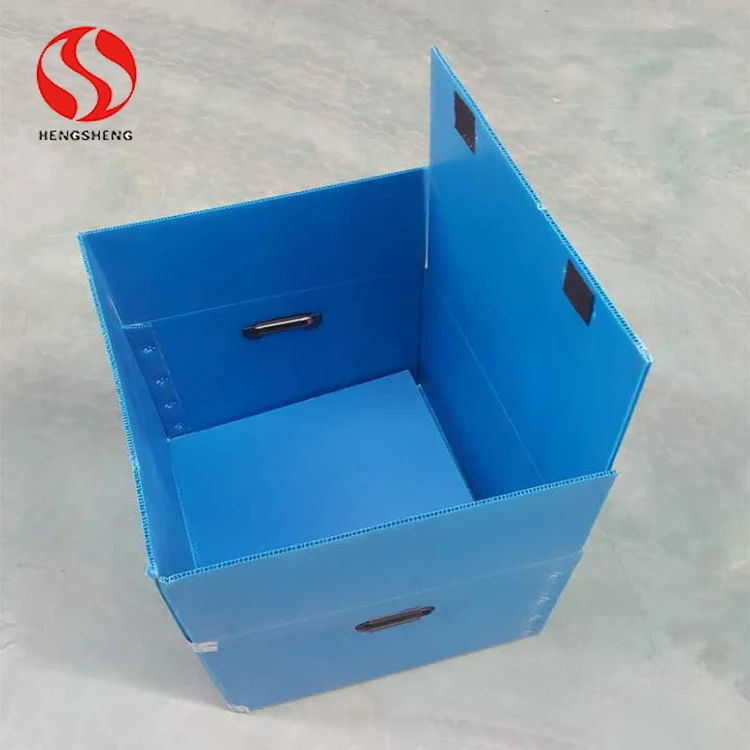 
printed polypropylene PP Corrugated plastic office use file storage archive box 