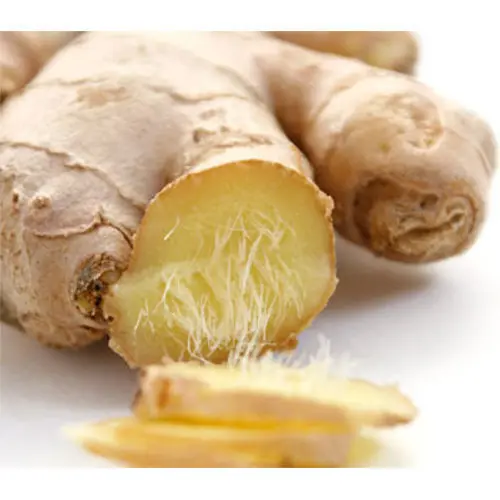 Ginger Extract