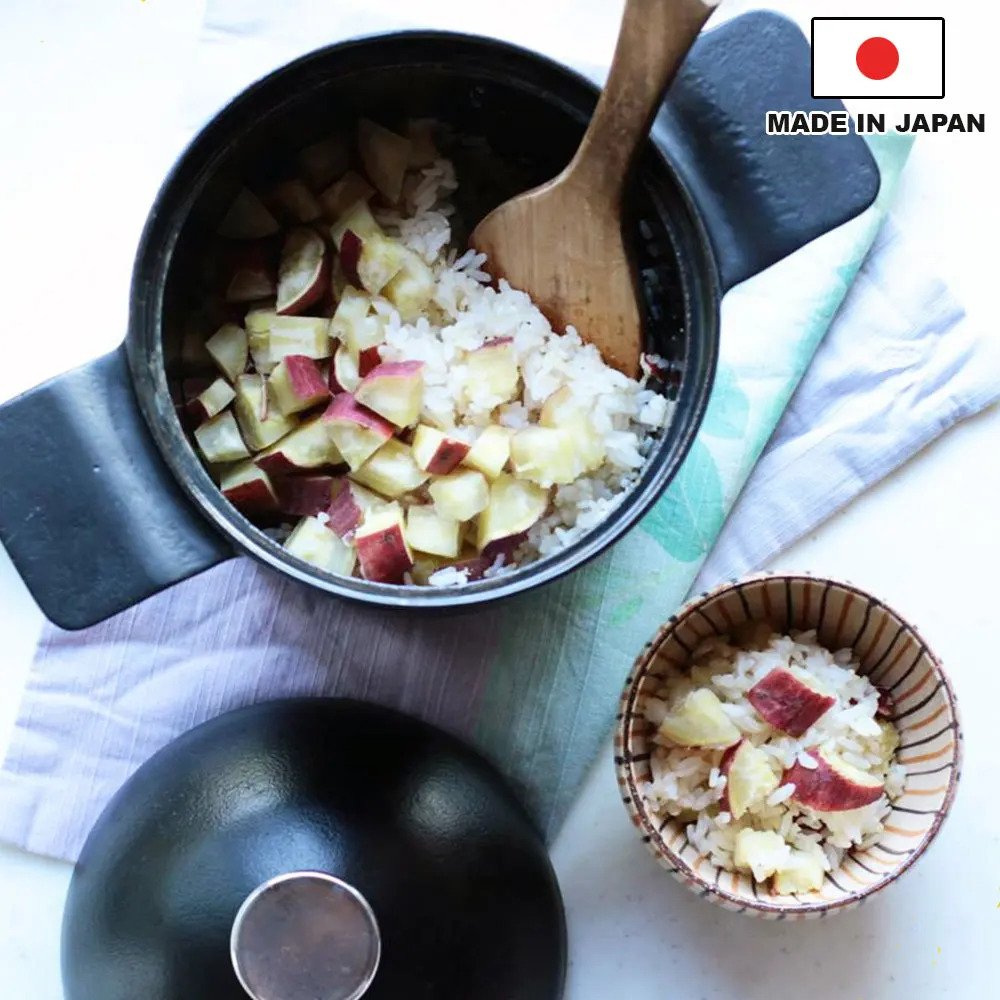 Castok Rice cooking pot (small) made in Japan