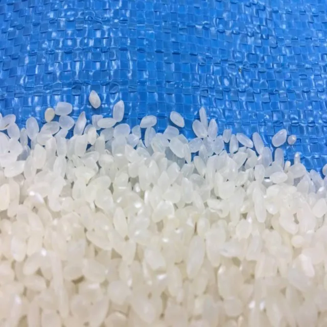 VIETNAM 5% BROKEN CALROSE RICE AT LOWEST PRICE
