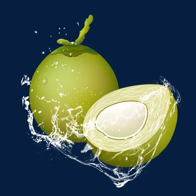 FRESH YOUNG COCONUT VIETNAM (CHEAP PRICE AND HIGH QUALITY)/ Vivan Ha +84 33 882 0 462