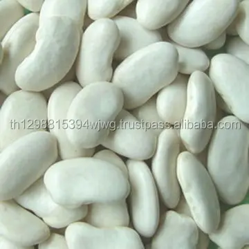 America Round Light Speckled Kidney Bean Red Beans
