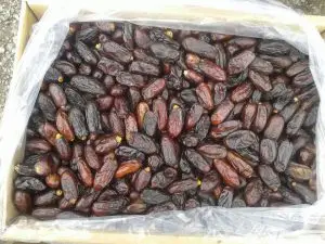 
Best Iranina Rabbi Dates Fresh Dates 
