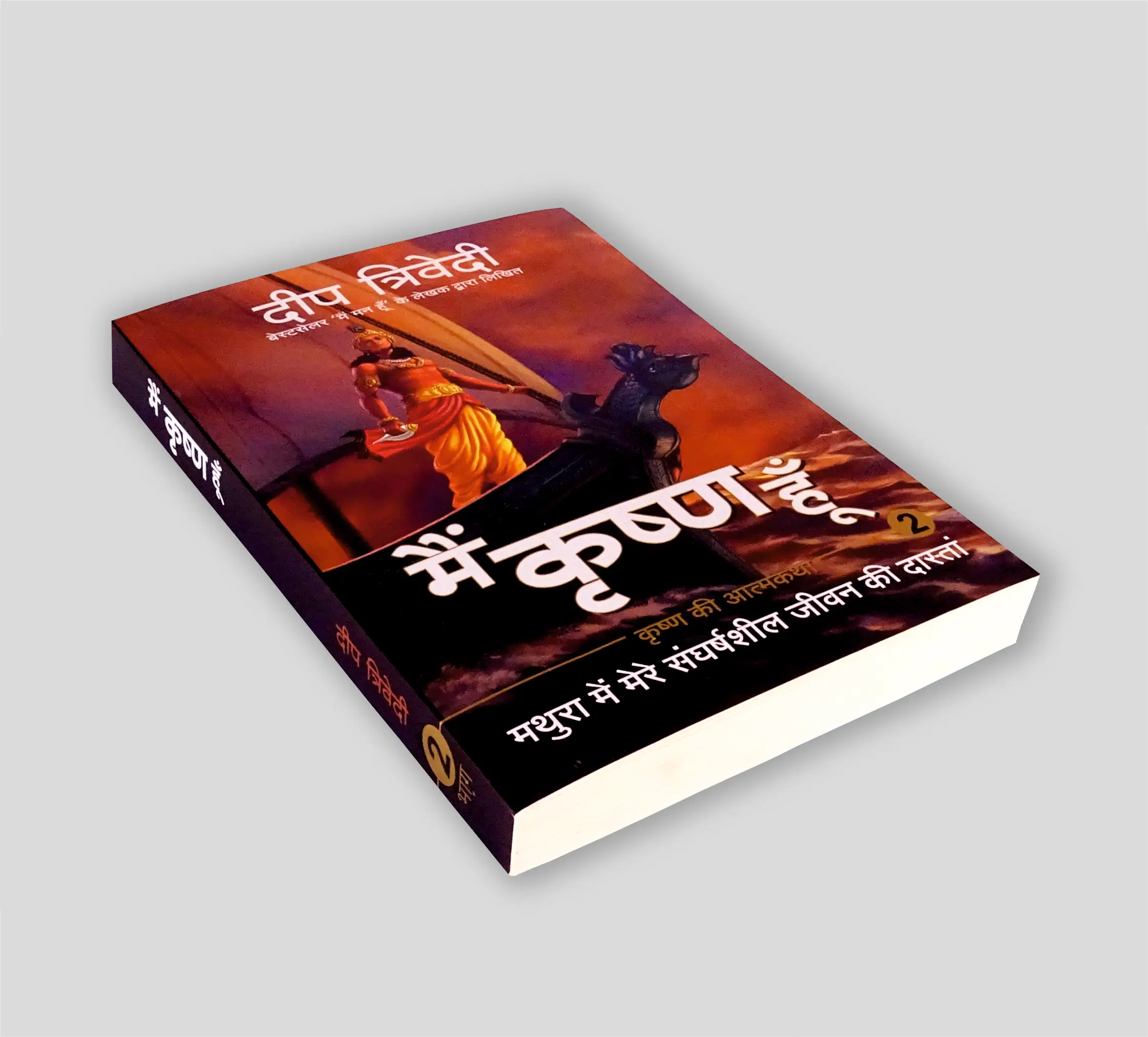 Cheap/ Full Color/ Perfect Binding/ Softcover Paperback/ Printing Services Offset Printing Soft Cover Book Printing CMYK Pantone