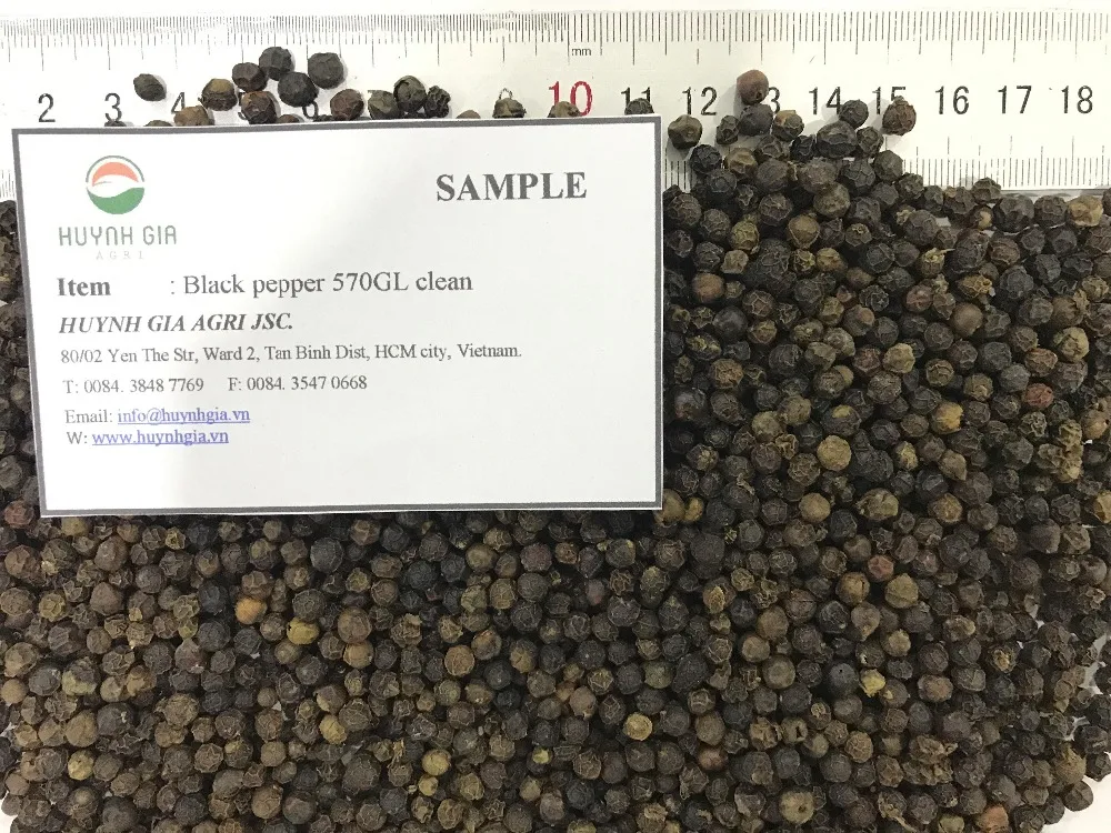 Vietnam Manufacturer High Quality Raw Processing Clean Dried Black Pepper 570 GL With 2 Years Shelf Life