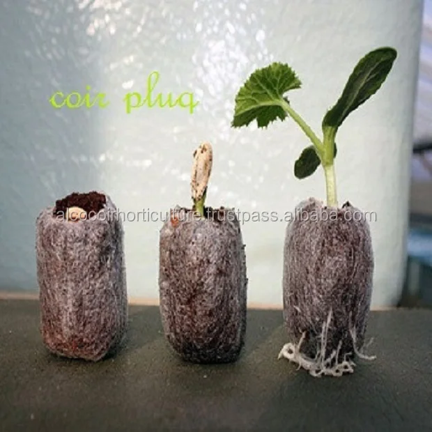 COIR PLUGS GROWING MEDIUM