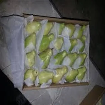  Свежий гуава из египта высшего