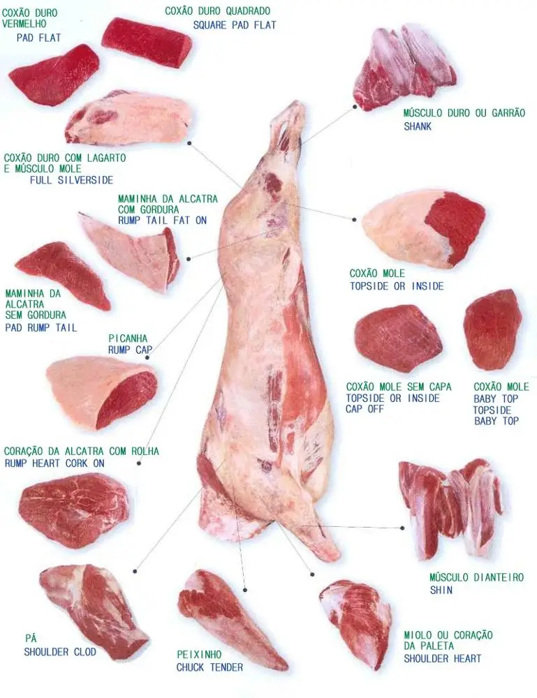 
Halal frozen salted beef omasum, beef chunk beef brisket, corned beef and beef tallow 