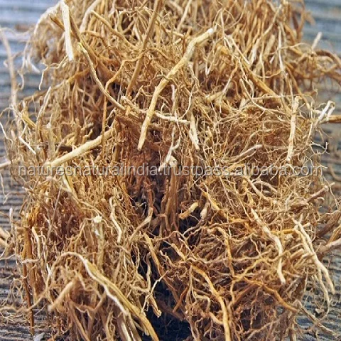 Top Quality Vetiver Essential Oil For Aromatherapy Uses pure essential oil manufacturers and Bulk suppliers