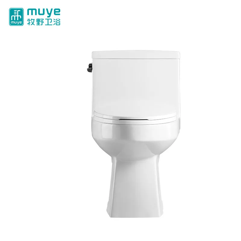 
Latest Product Attractive Style High Efficiency S-Trap Best Toilets To Buy 