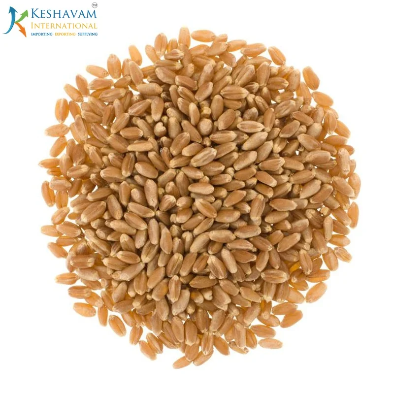 Best Quality Milling Wheat