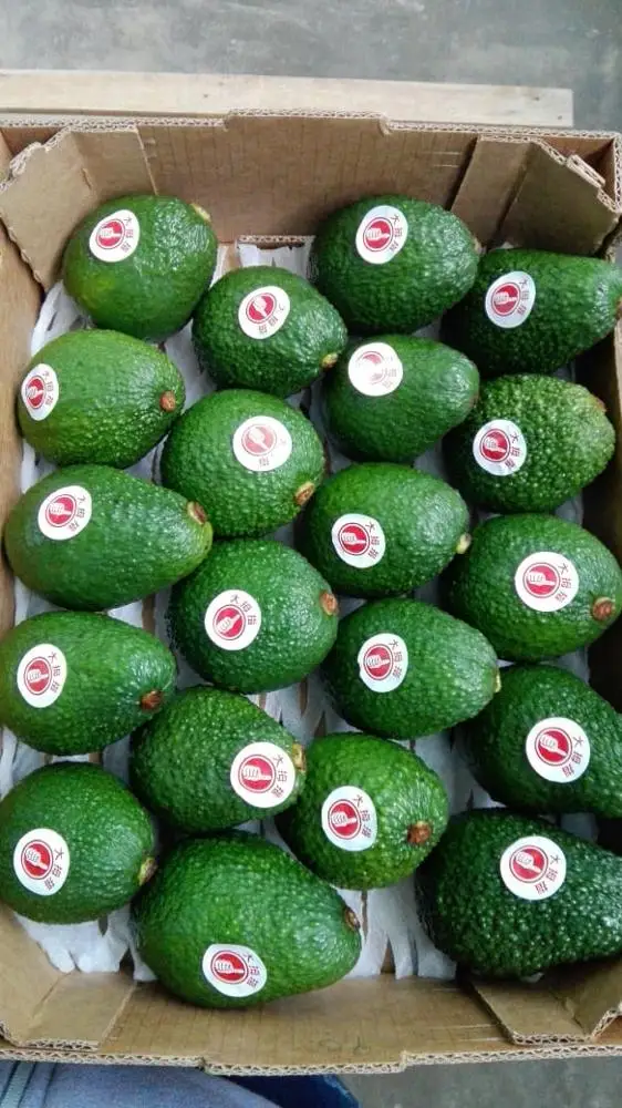
Frsh Hass Avocado from Peru 